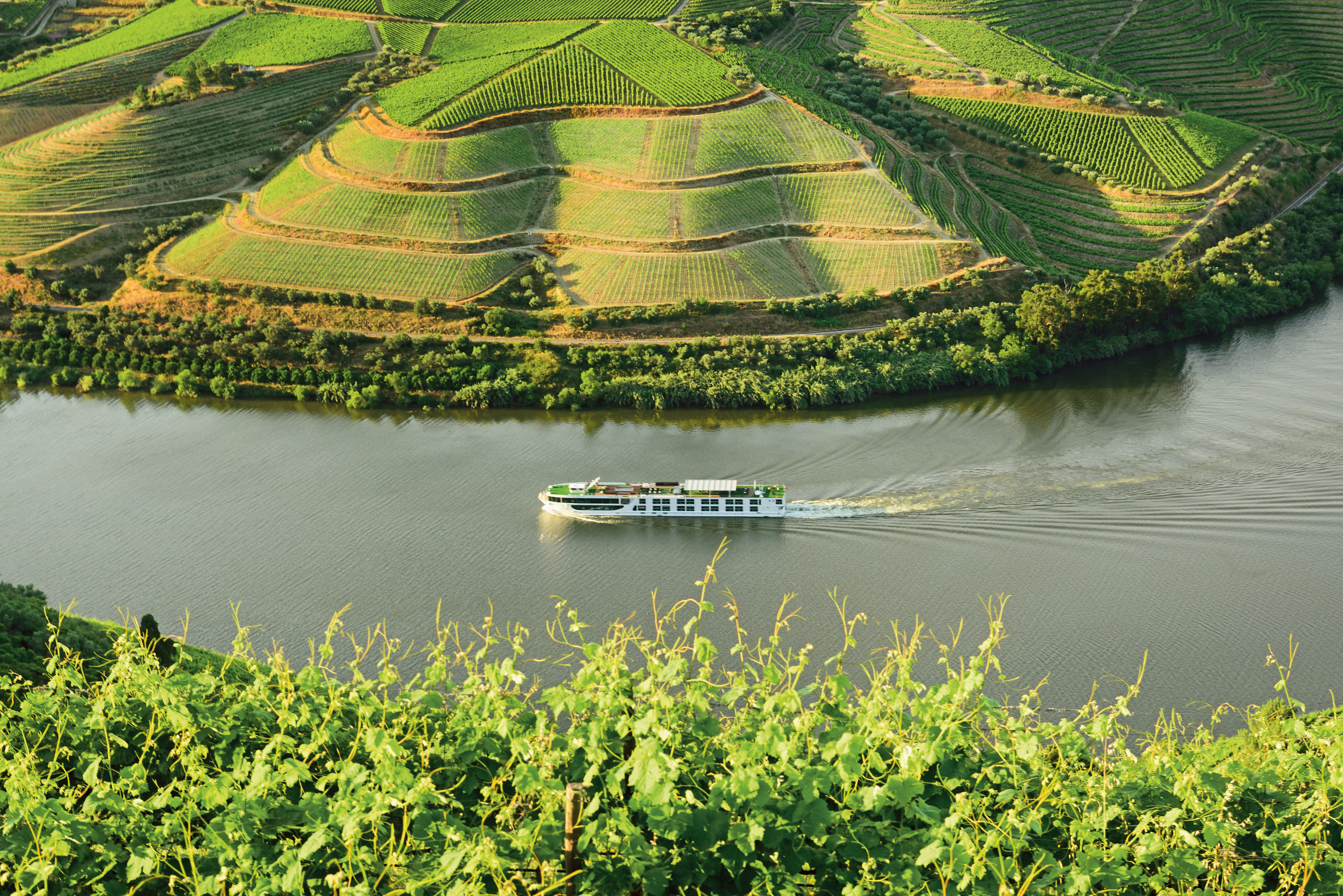 Current location for Scenic Amber