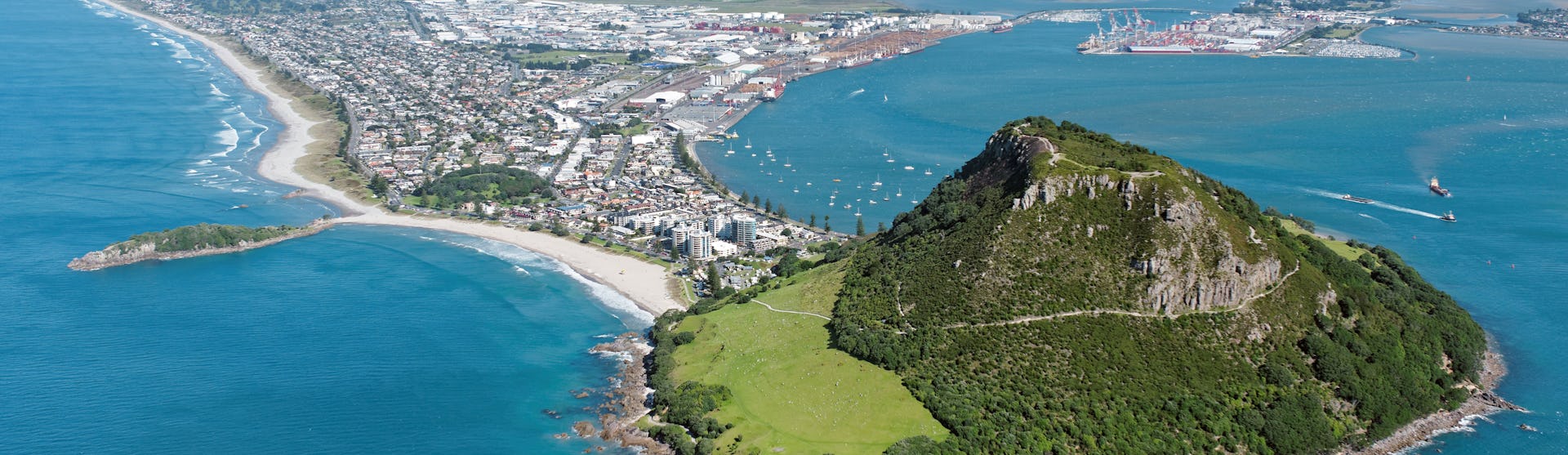 Tauranga