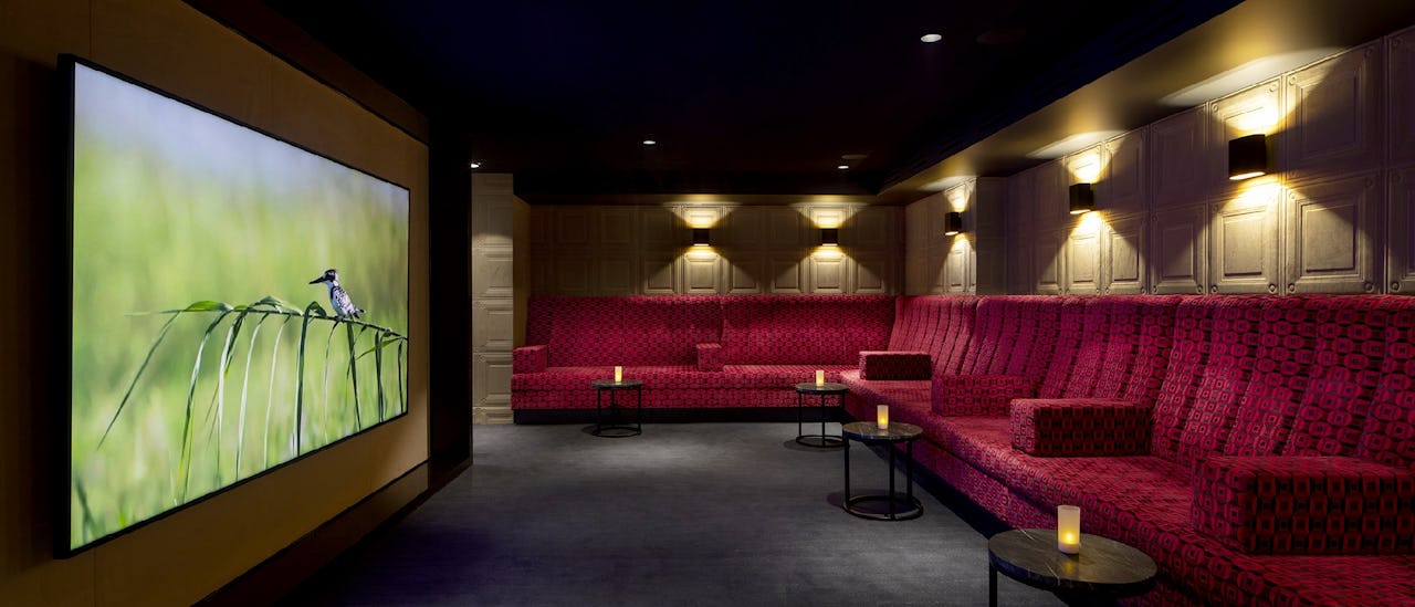 The cinema