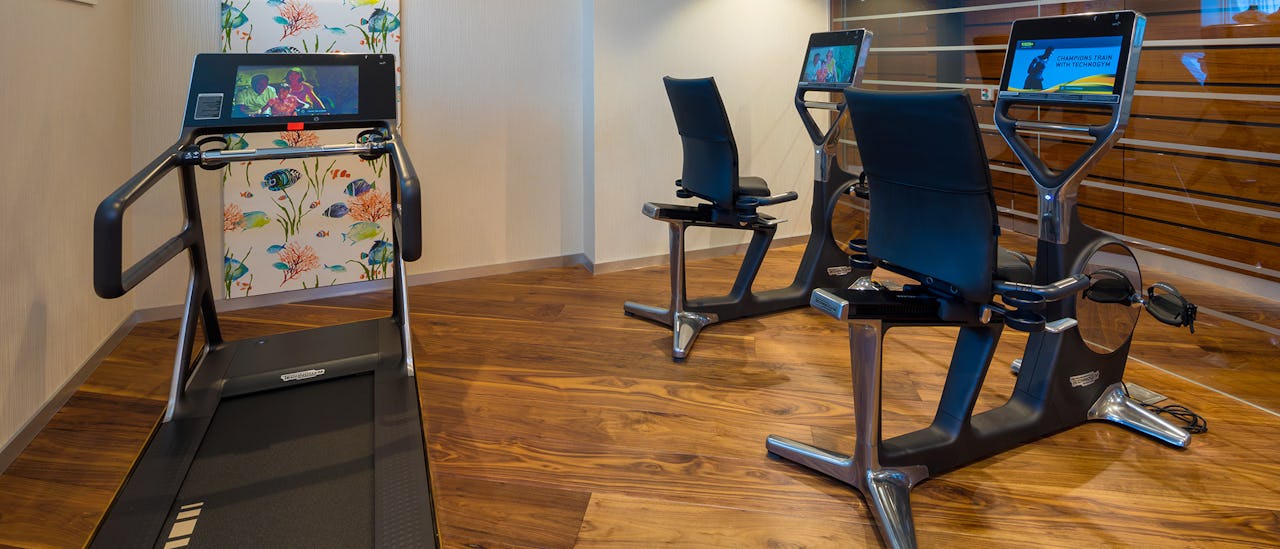 Exercise at the gym