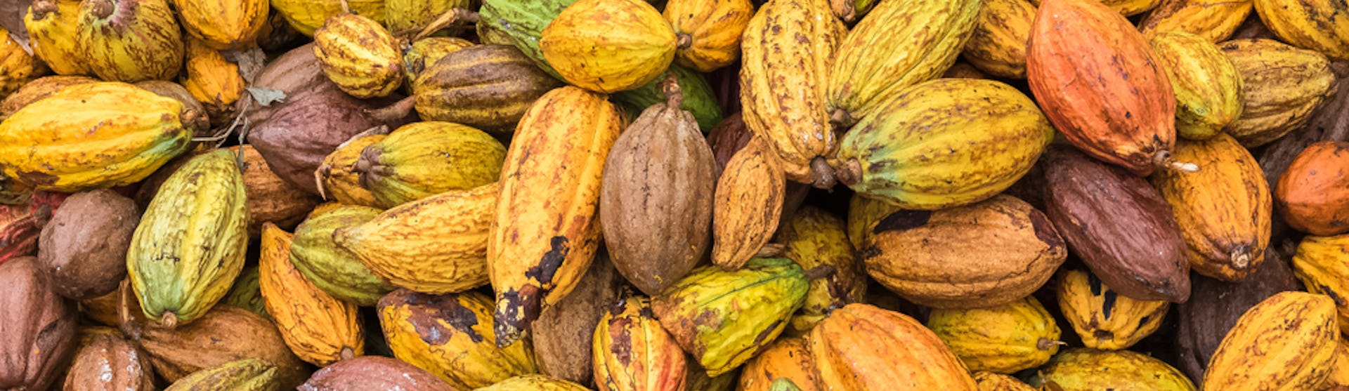 São Tomé and Príncipe