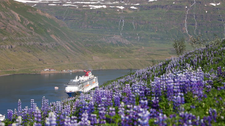 Carnival Cruise Line